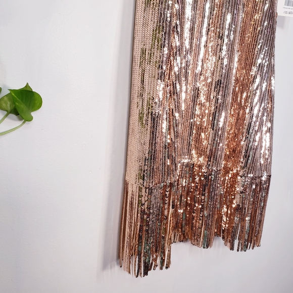 NWT Alex Marie Fringe Gold Sequins Party Dress - Picture 9 of 11